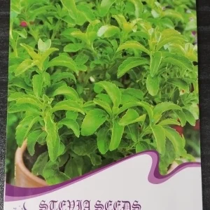 স্টেভিয়া বীজ (১ প্যাকেট)