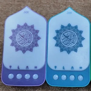 প্লাগ ইন কুরআন (২ পিছ)